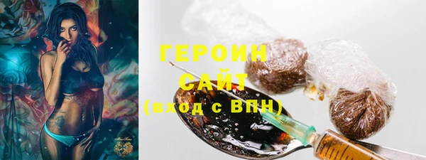 гидра Богородск