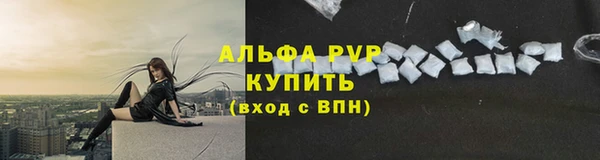 гидра Богородск