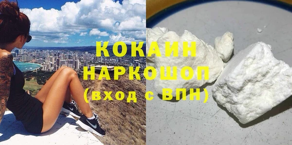 гидра Богородск