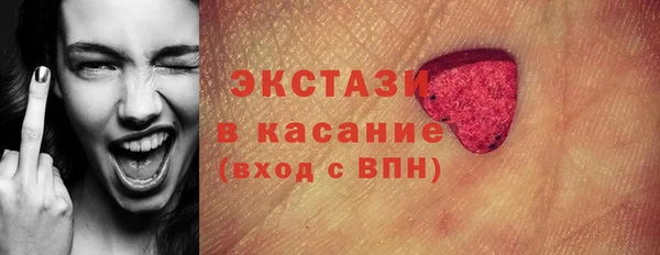 гидра Богородск