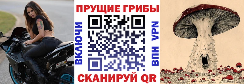 Галлюциногенные грибы Cubensis  Купить где  Гусь-Хрустальный 